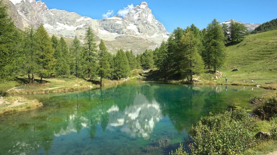 Sabádo de tip corto y reflexivo!