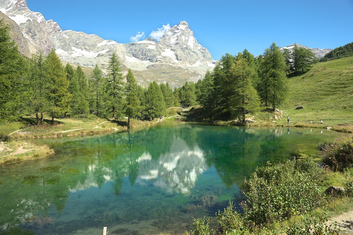 Fotografía de naturaleza en Chile